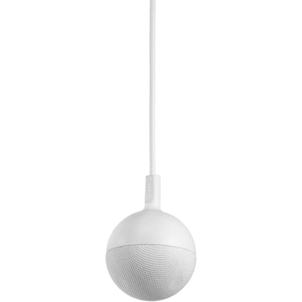 Ceiling Mic System