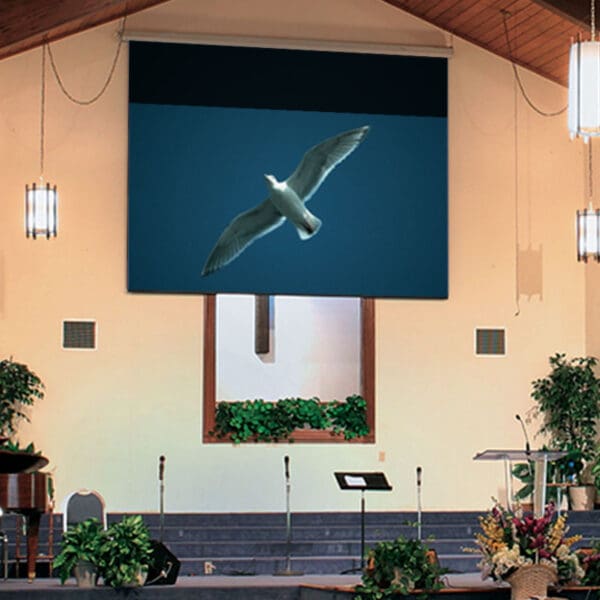 Targa, 150", NTSC, Contrast Grey XH800E, 110 V, with Quiet Motor