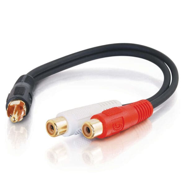 RCA to dual RCA audio cable.