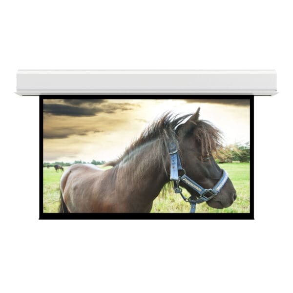 Da-Lite Advantage Series, 132.5" x 212" with Matte White - 14201FL