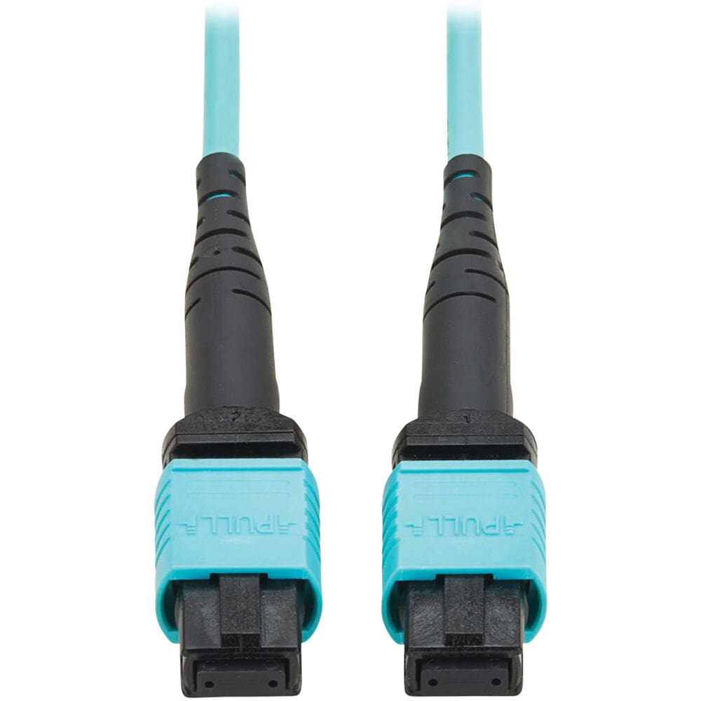 Here's an alt tag for the image: Pair of aqua fiber optic cables.