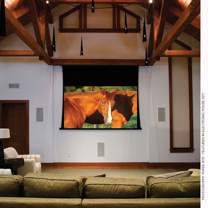 Home theater screen showing two horses.